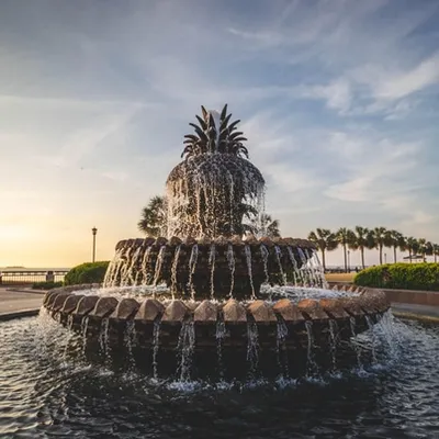Pineapple Fountain | Angle Two