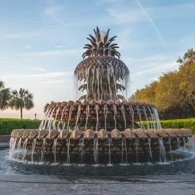 Pineapple Fountain | Angle One