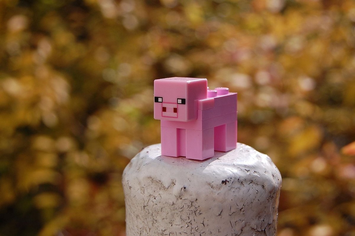 GRATIS BARNEFESTIVAL: Minecraft med flotte premier