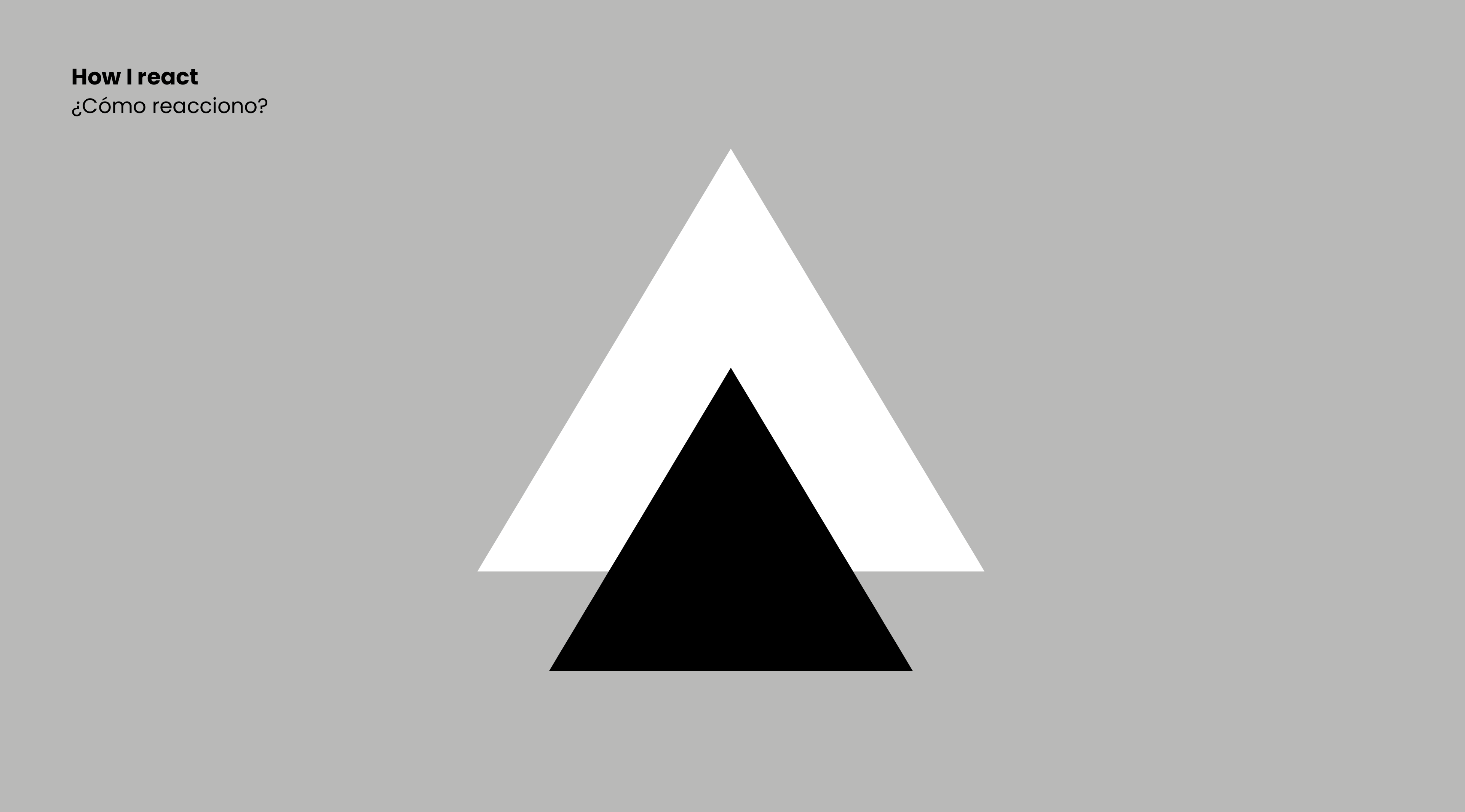 Project image 5