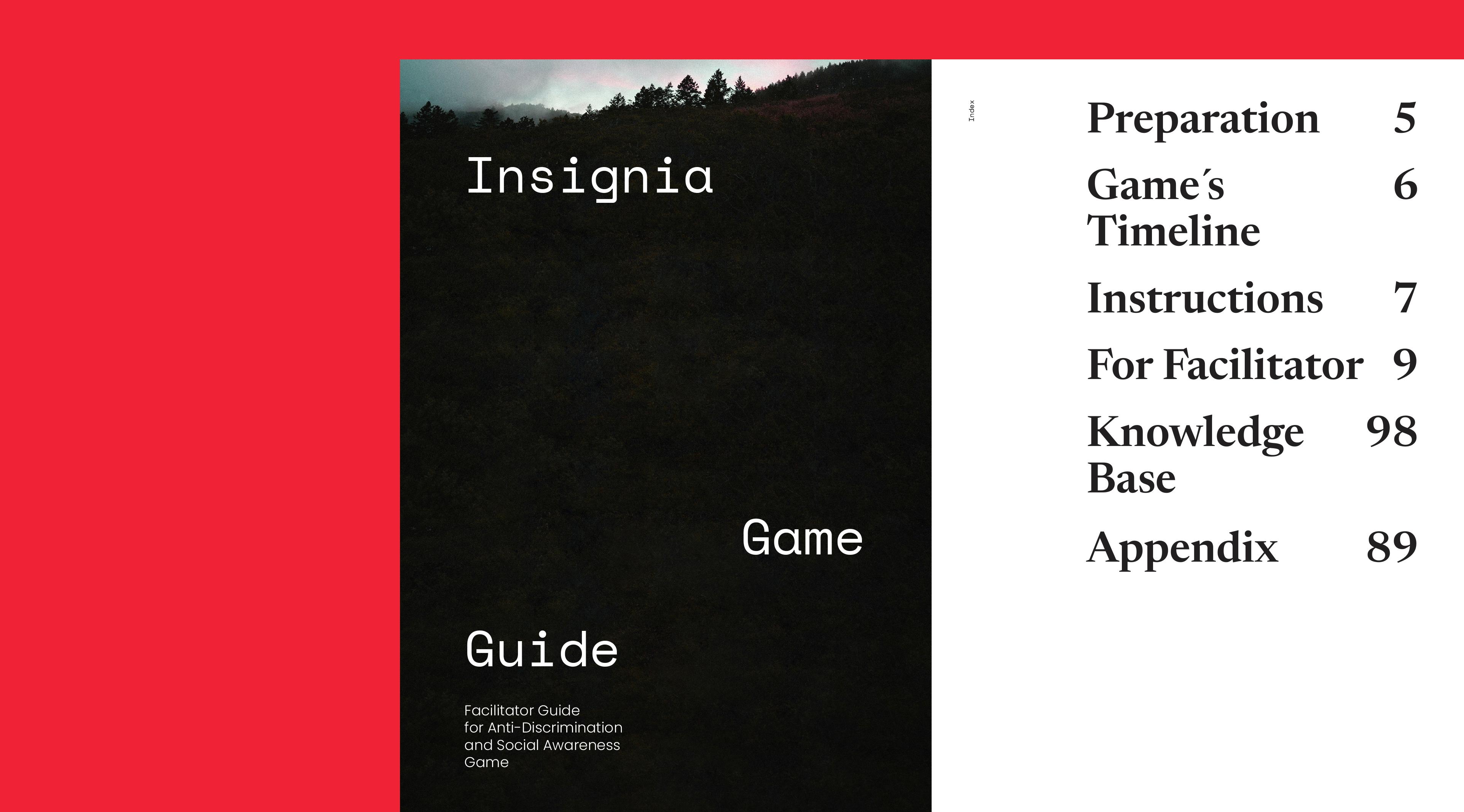 Project image 7
