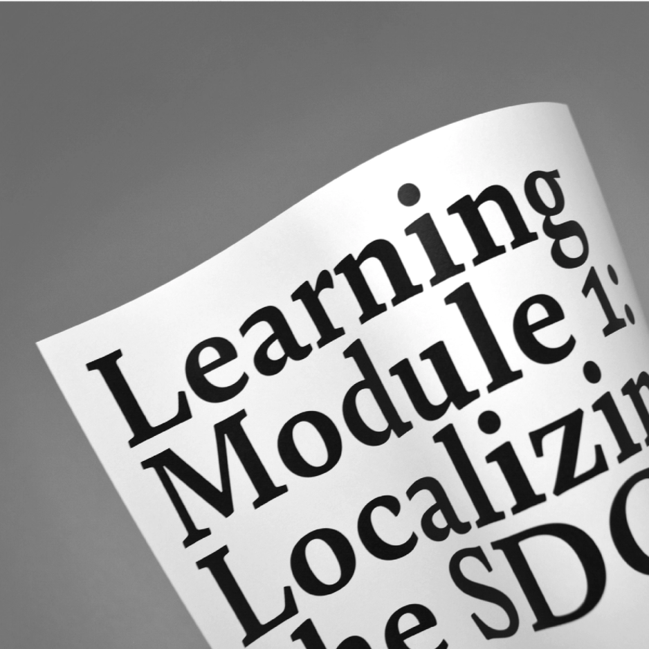 Learning Module: Localizing the SDGs