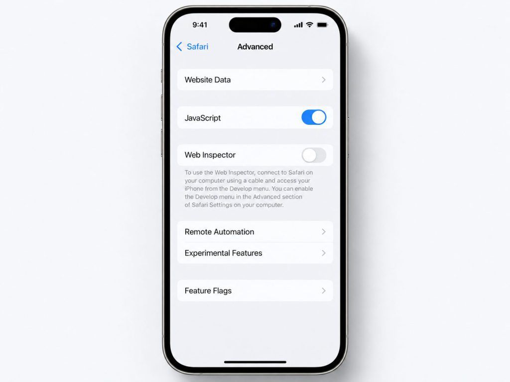 Illustration of the JavaScript setting in Safari Advanced options on iPhone