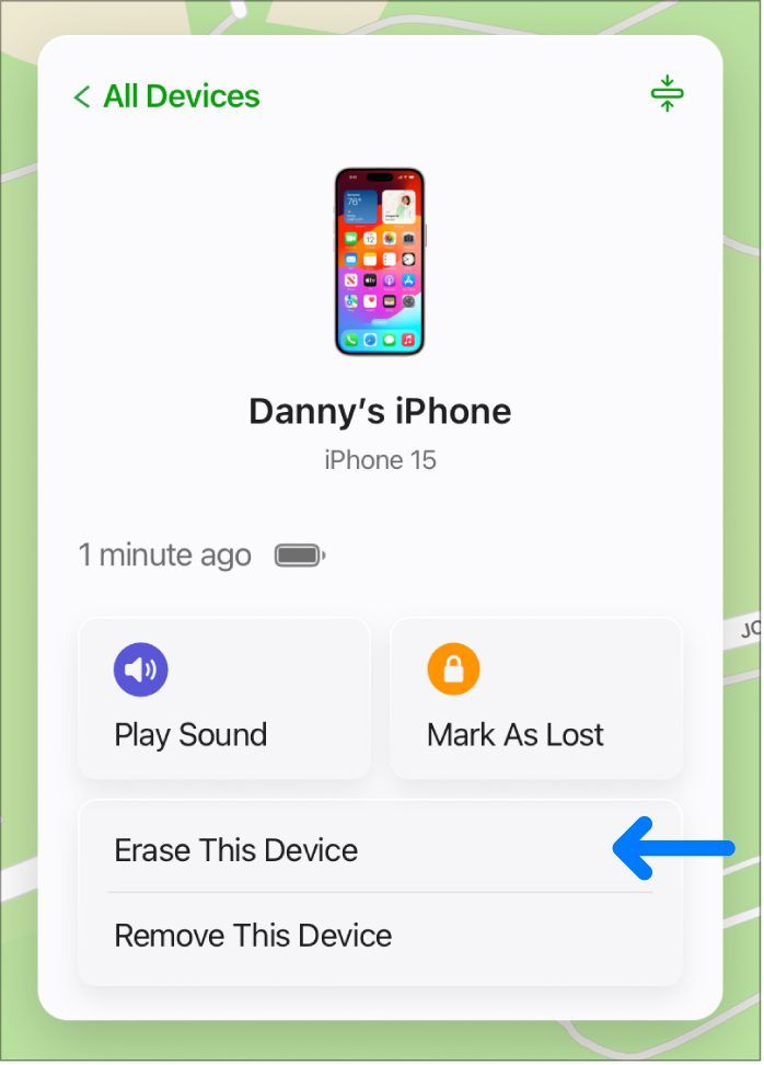 Find My app device screen with the Erase This Device option highlighted