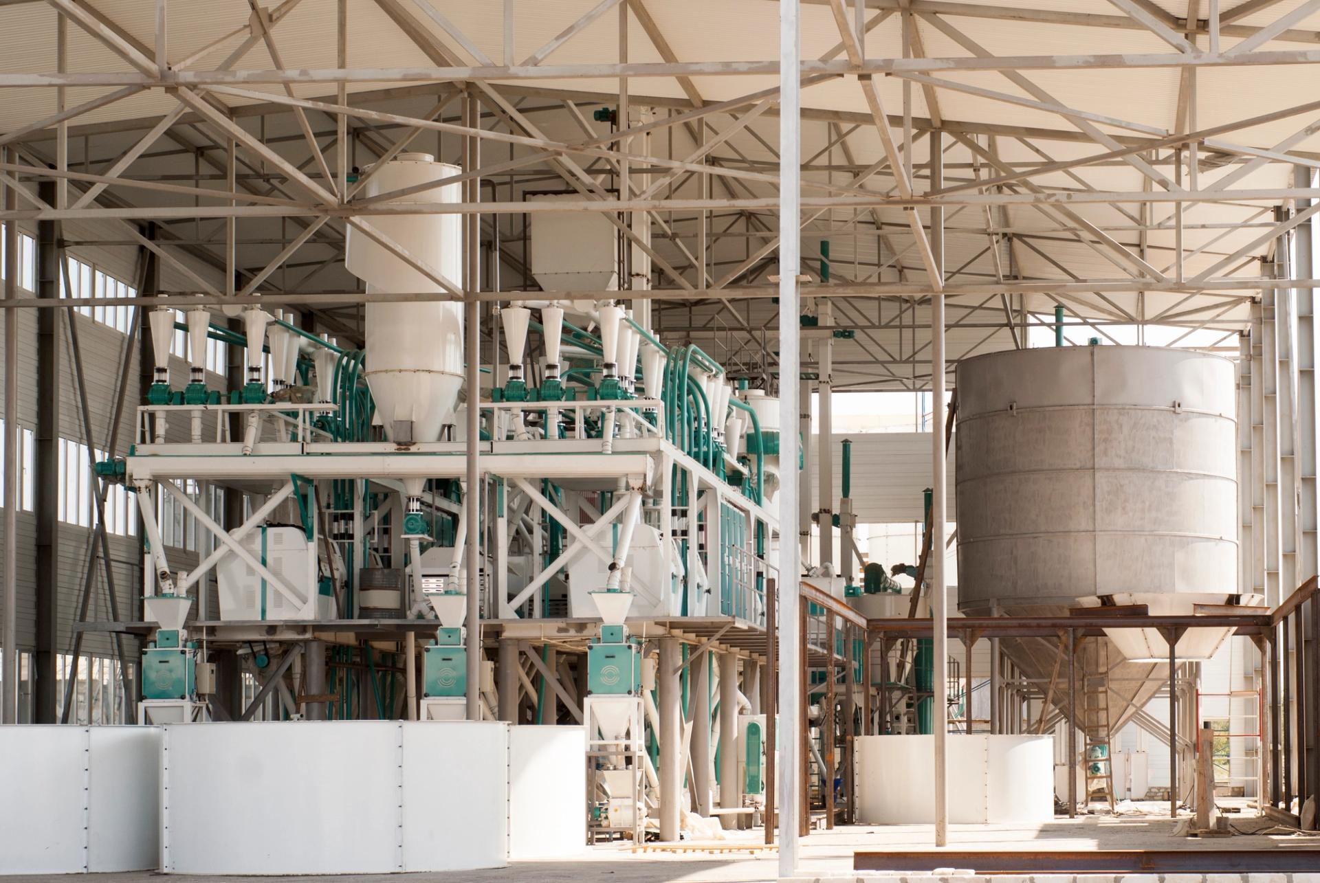 Feed Grain Oilseed