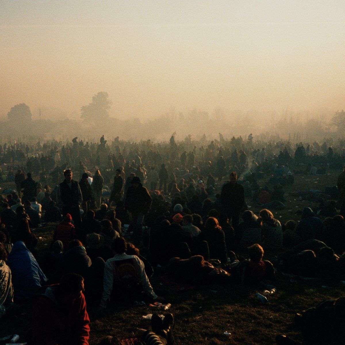 Turnover Down On Earth album artwork with a soft-focus outdoor scene
