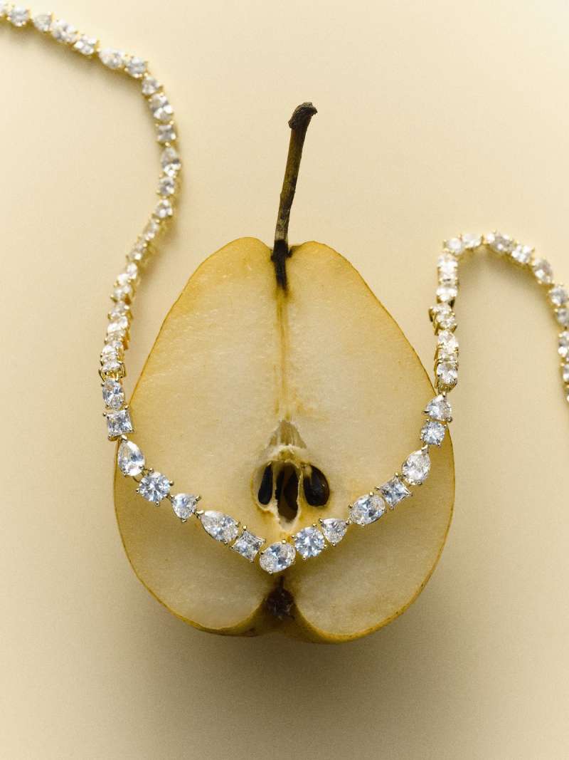 Still life photograph by Samuel Bristow