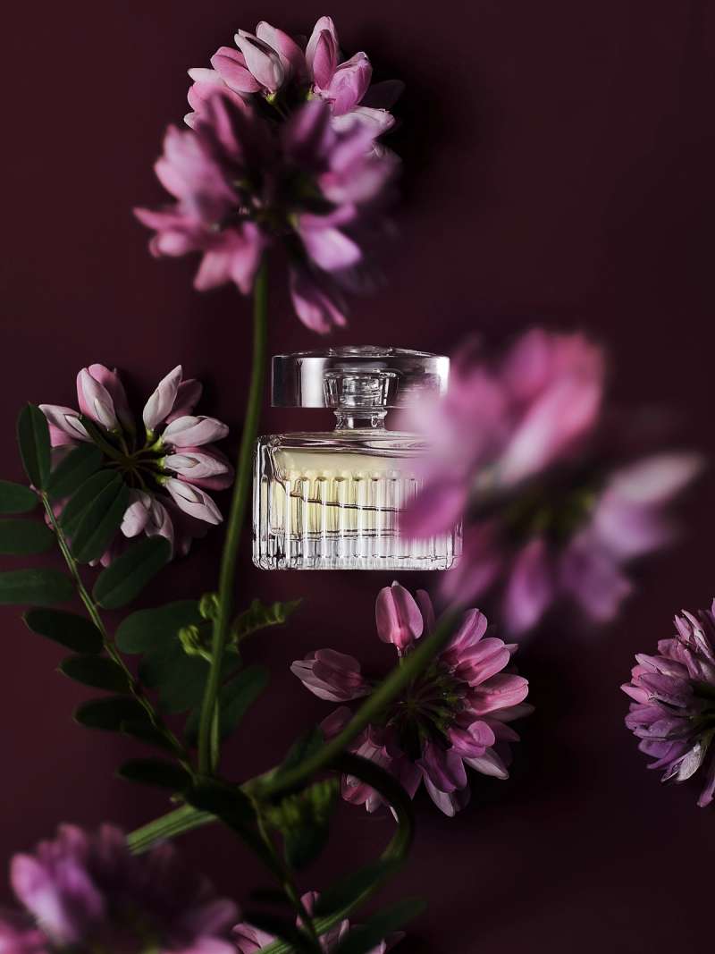 Still life photograph by Samuel Bristow
