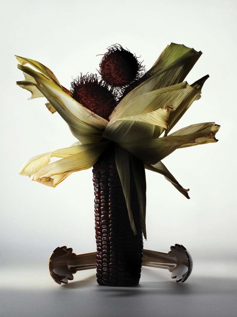 Still life photograph by Samuel Bristow