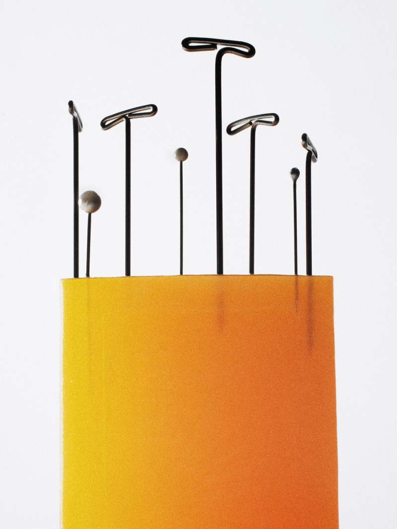 Still life photograph by Samuel Bristow