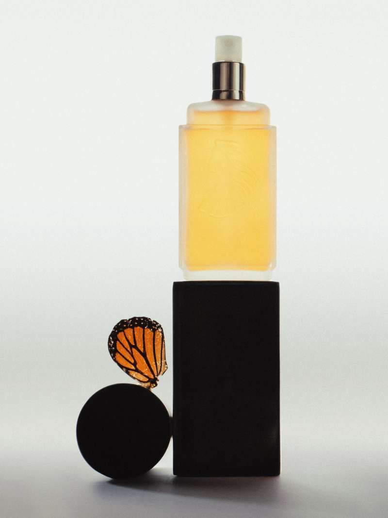 Still life photograph by Samuel Bristow