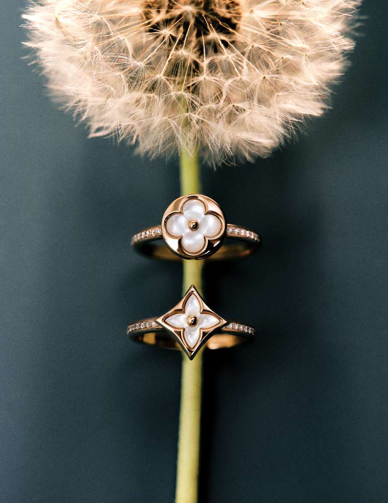 Still life photograph by Samuel Bristow