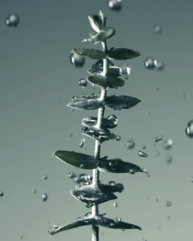 Motion film by Samuel Bristow