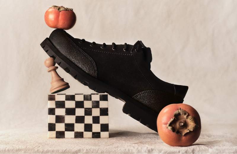 Shoe in