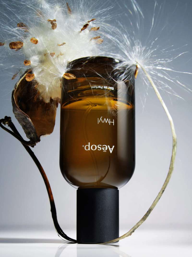 Still life photograph by Samuel Bristow