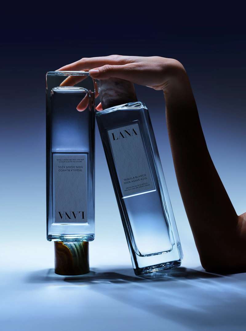 Still life photograph by Samuel Bristow
