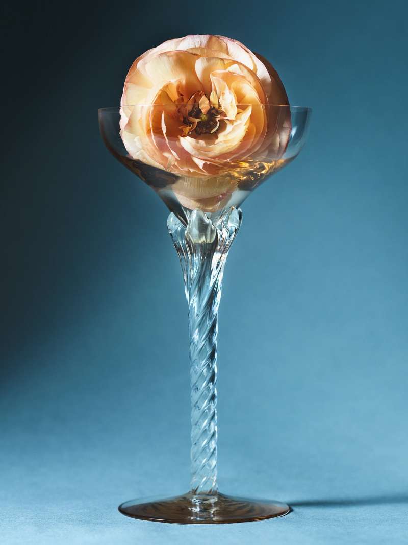Still life photograph by Samuel Bristow
