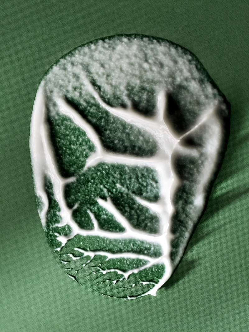 Still life photograph by Samuel Bristow