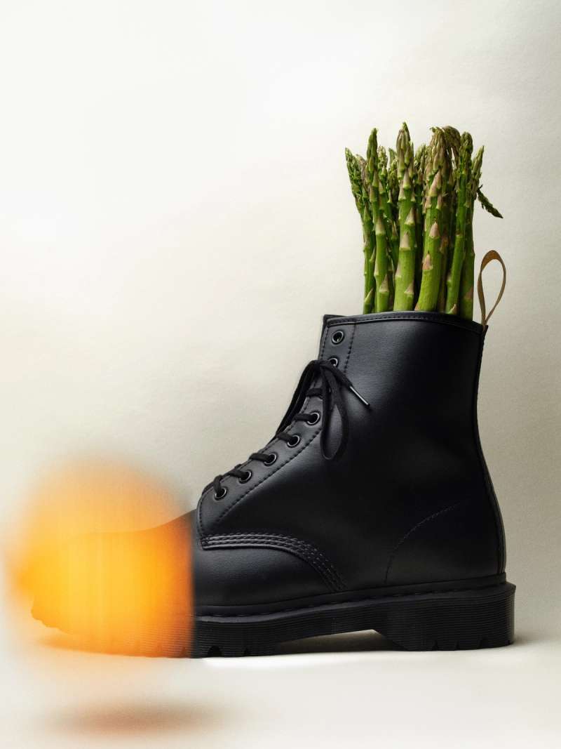 Still life photograph by Samuel Bristow
