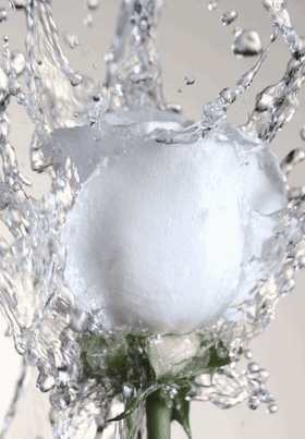Motion film by Samuel Bristow