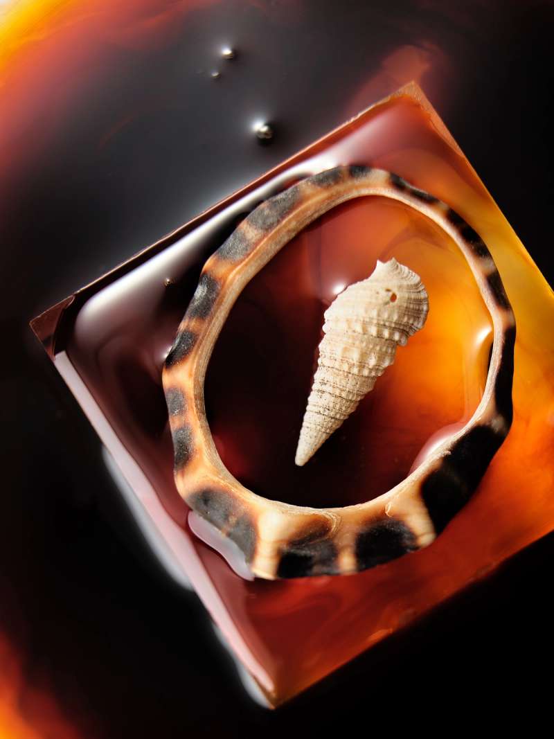 Still life photograph by Samuel Bristow