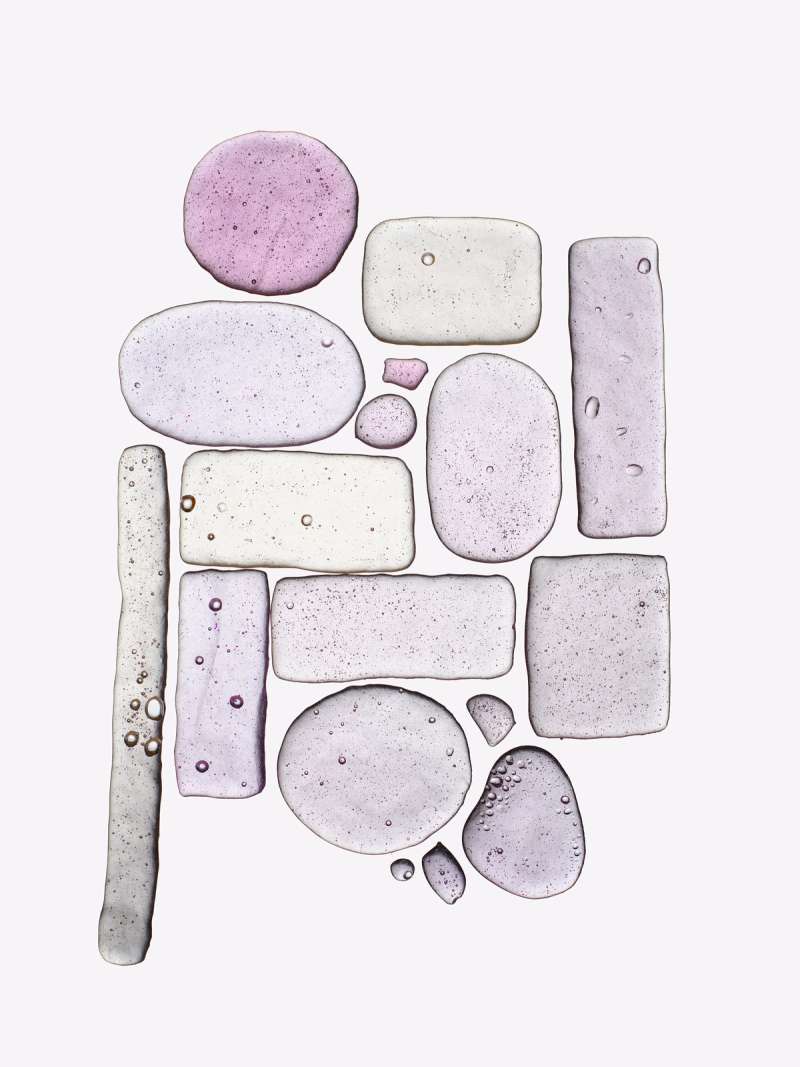 Still life photograph by Samuel Bristow