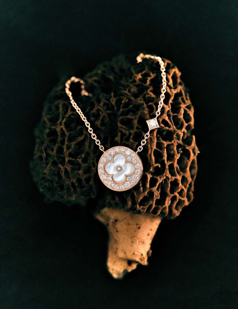 Still life photograph by Samuel Bristow
