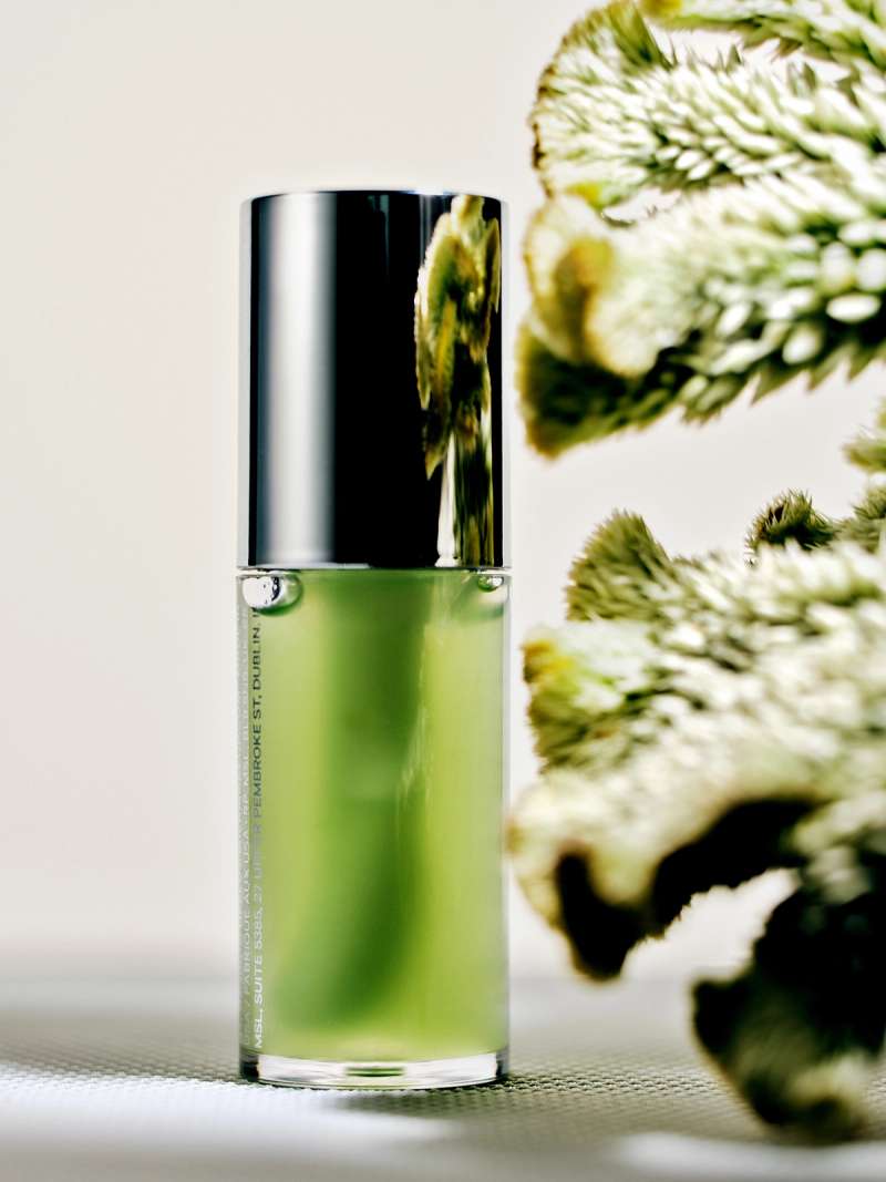 Still life photograph by Samuel Bristow