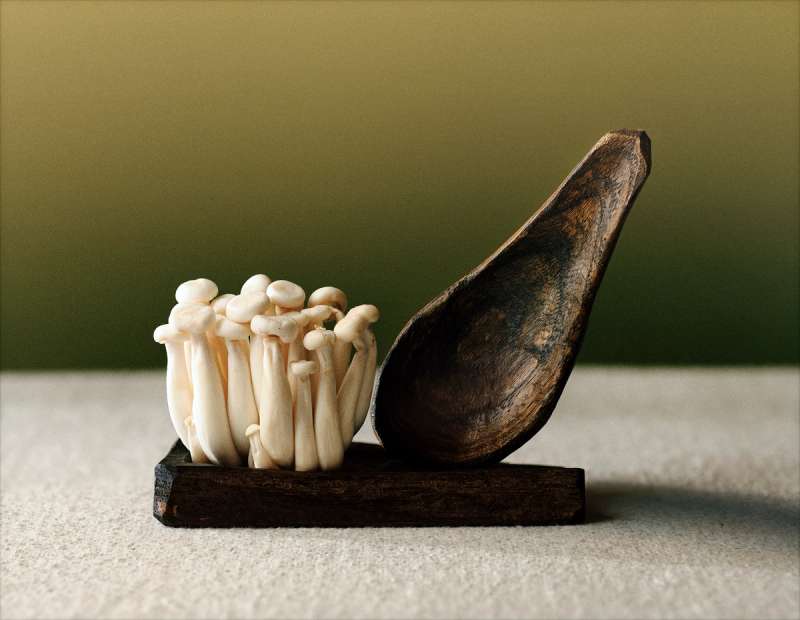 Still life photograph by Samuel Bristow