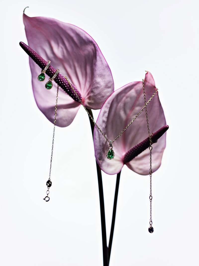 Still life photograph by Samuel Bristow