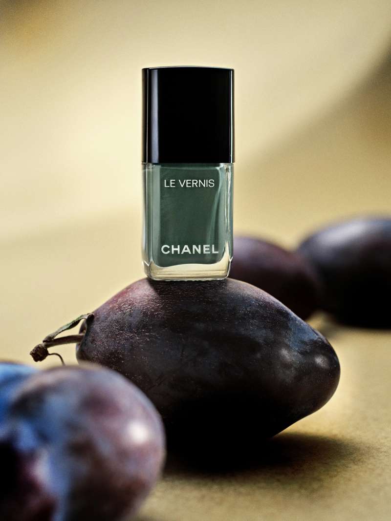 Still life photograph by Samuel Bristow