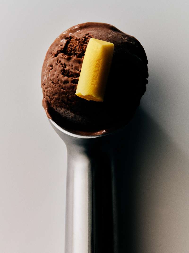 Still life photograph by Samuel Bristow