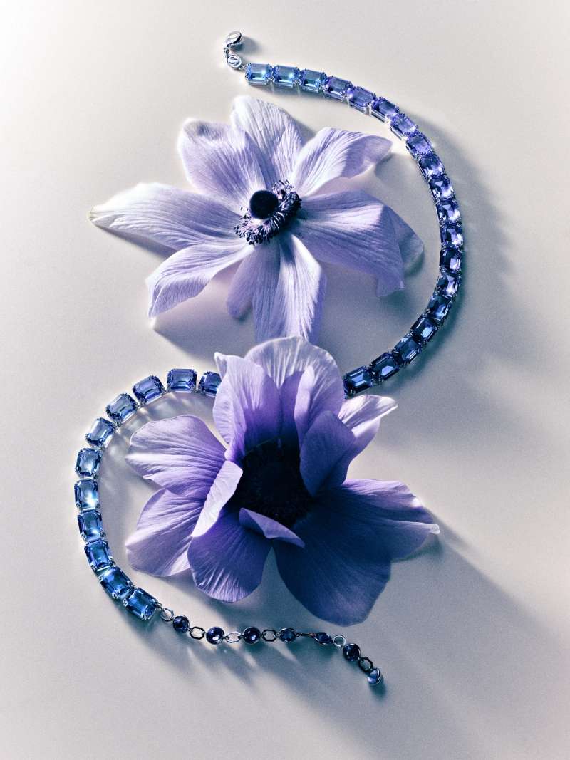 Still life photograph by Samuel Bristow