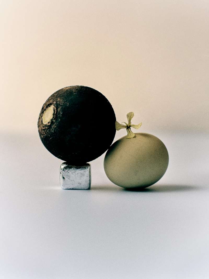 Still life photograph by Samuel Bristow