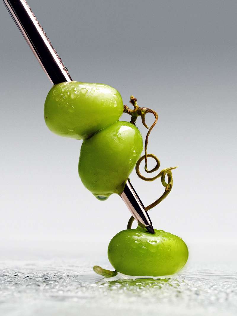 Still life photograph by Samuel Bristow