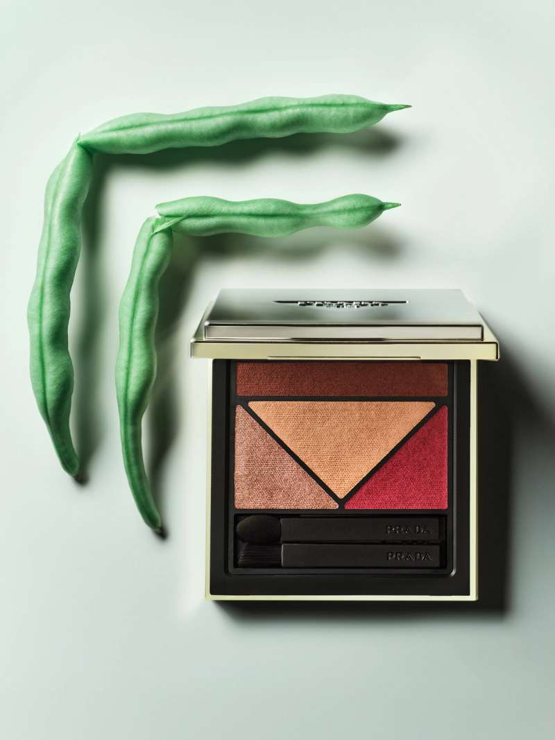 Still life photograph by Samuel Bristow