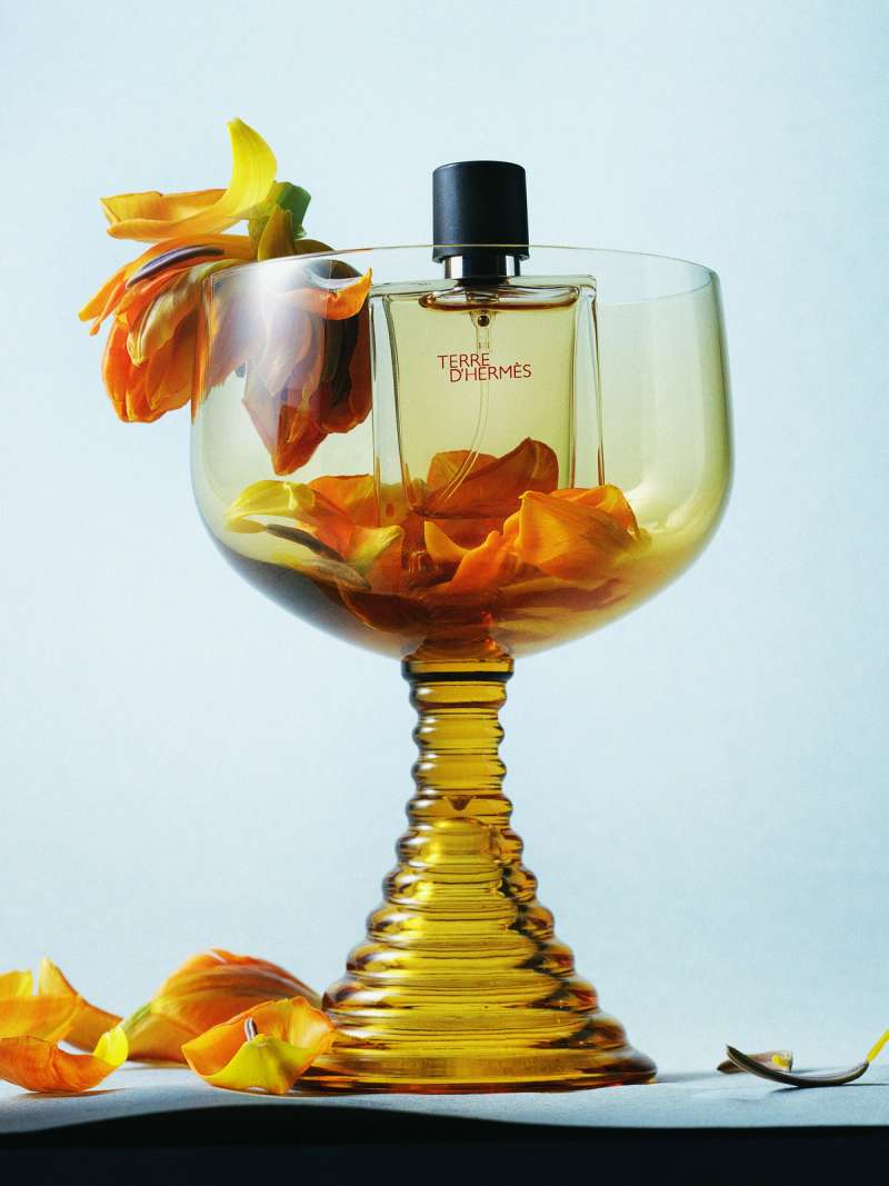 Still life photograph by Samuel Bristow