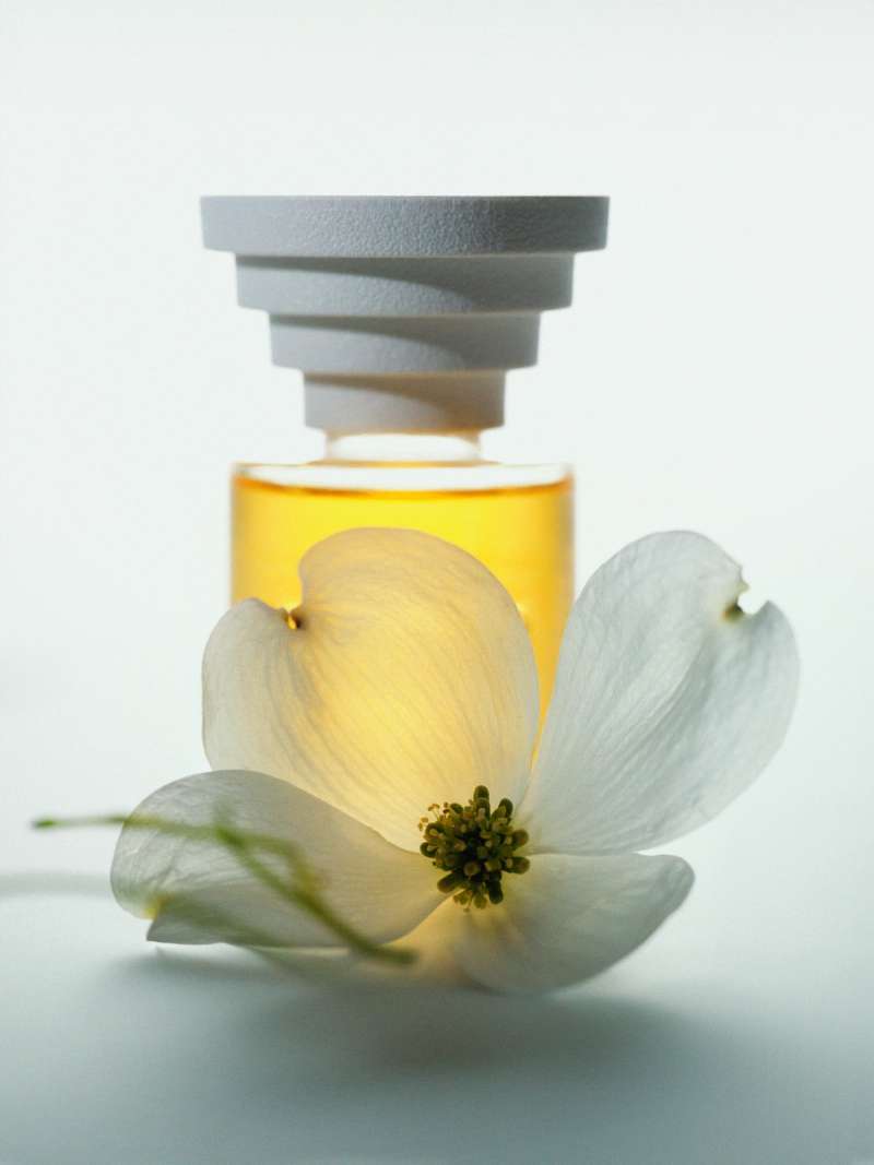 Still life photograph by Samuel Bristow