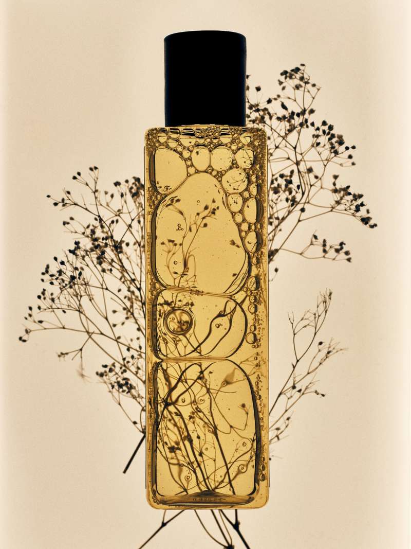 Still life photograph by Samuel Bristow