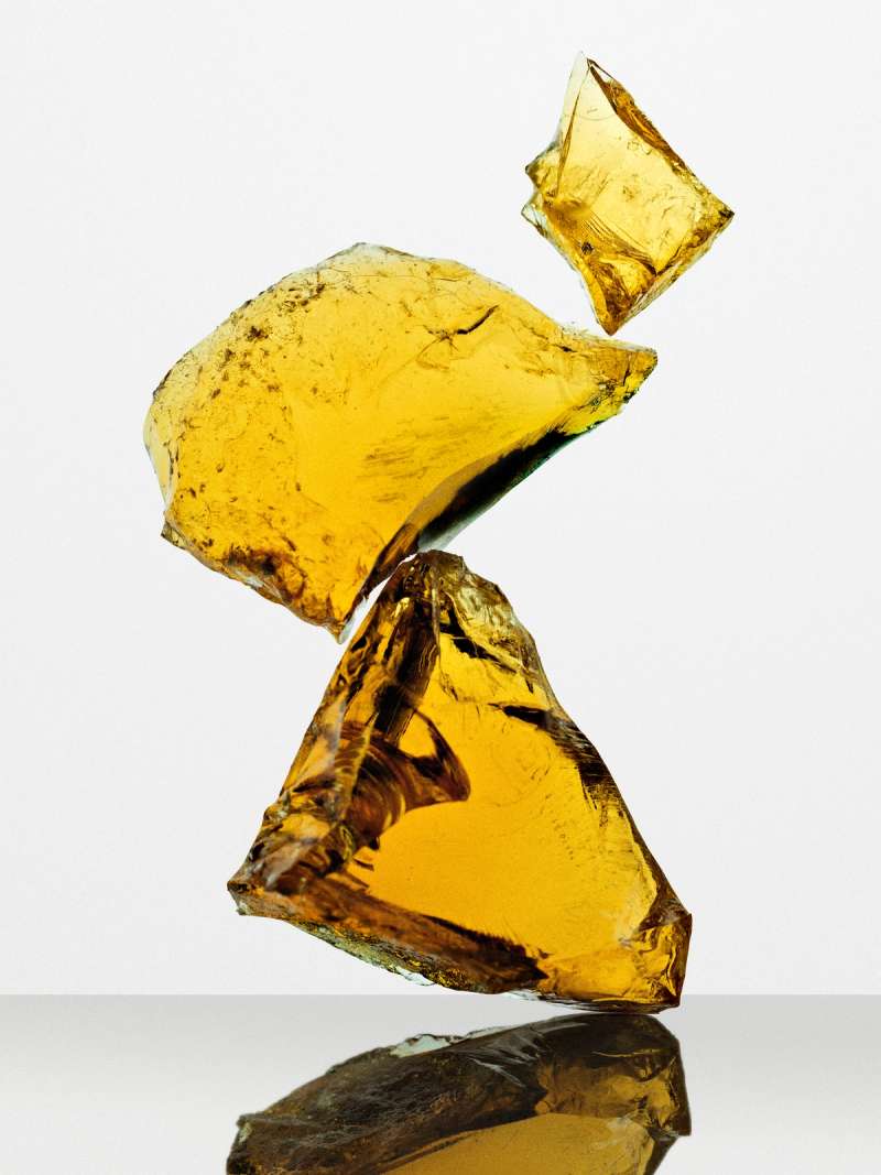 Still life photograph by Samuel Bristow