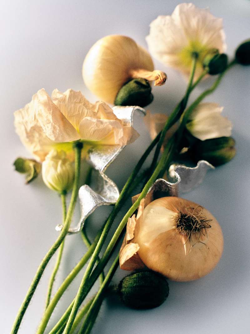 Still life photograph by Samuel Bristow