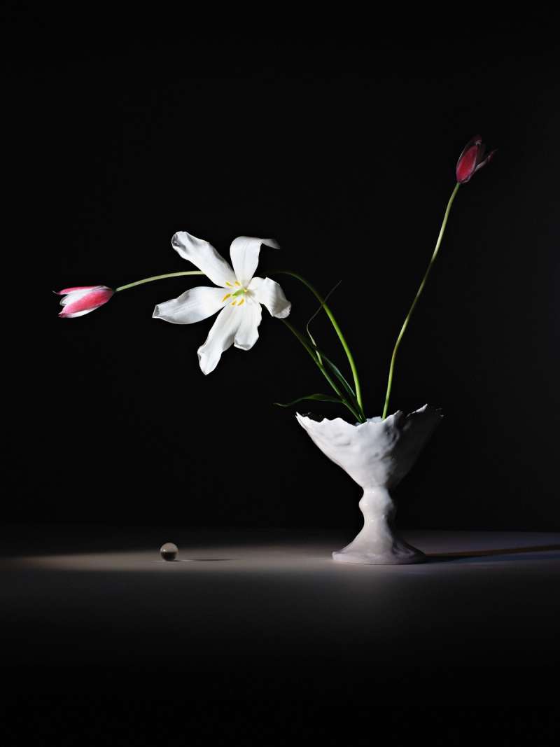 Still life photograph by Samuel Bristow