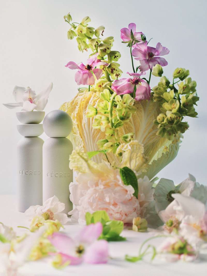 Still life photograph by Samuel Bristow