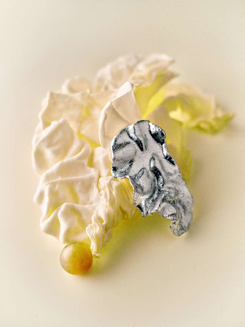 Still life photograph by Samuel Bristow