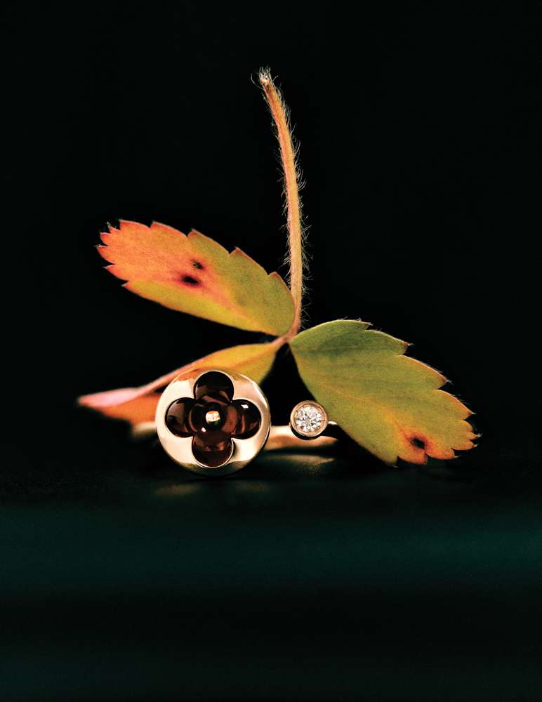 Still life photograph by Samuel Bristow