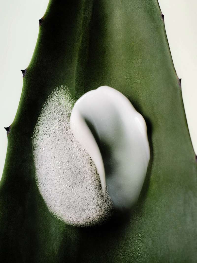 Still life photograph by Samuel Bristow