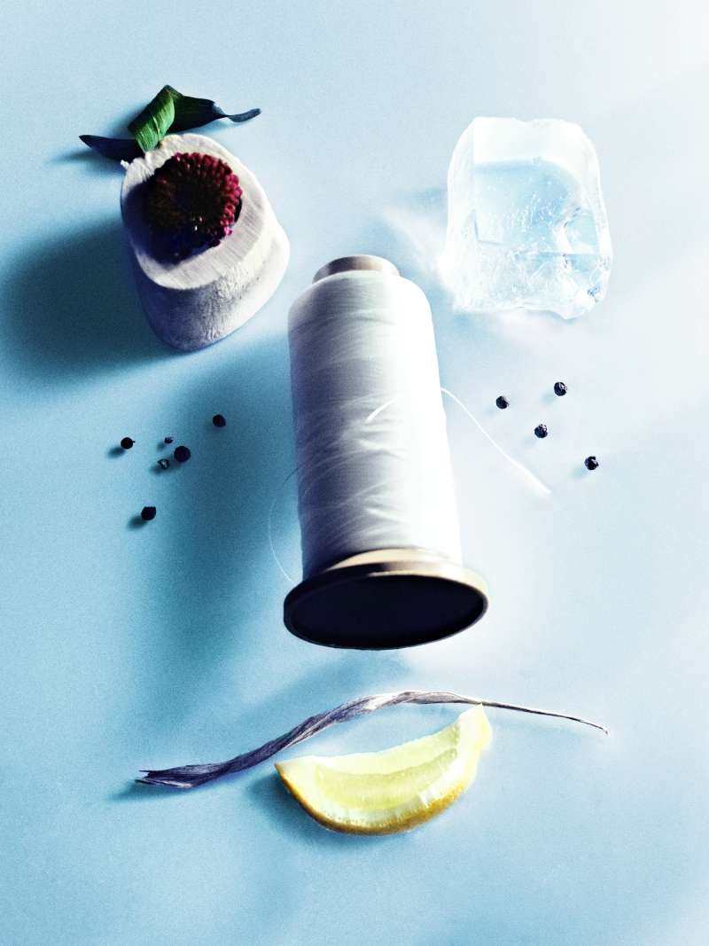 Still life photograph by Samuel Bristow