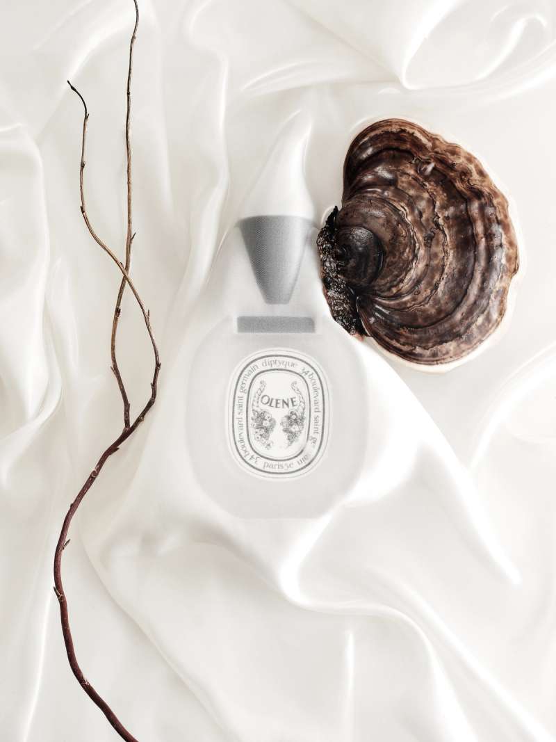 Still life photograph by Samuel Bristow