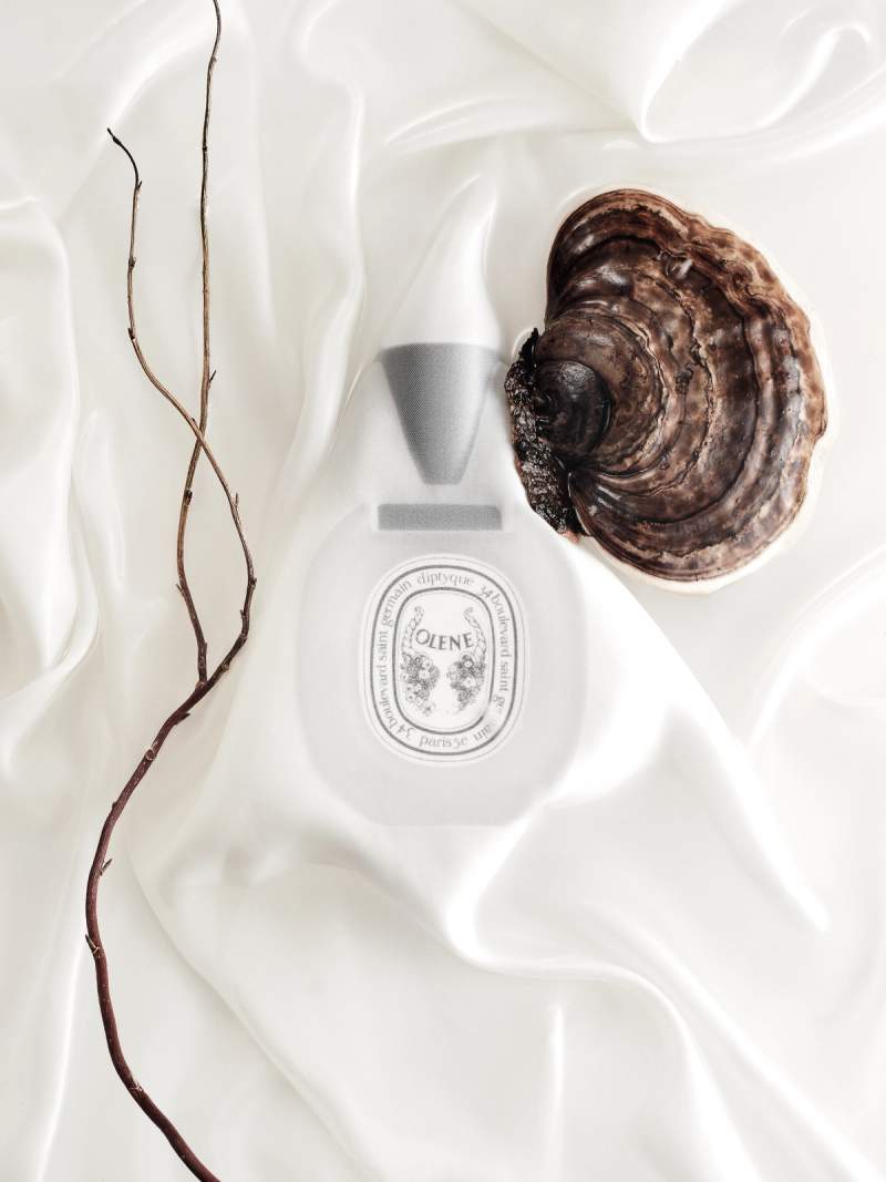 Perfumes