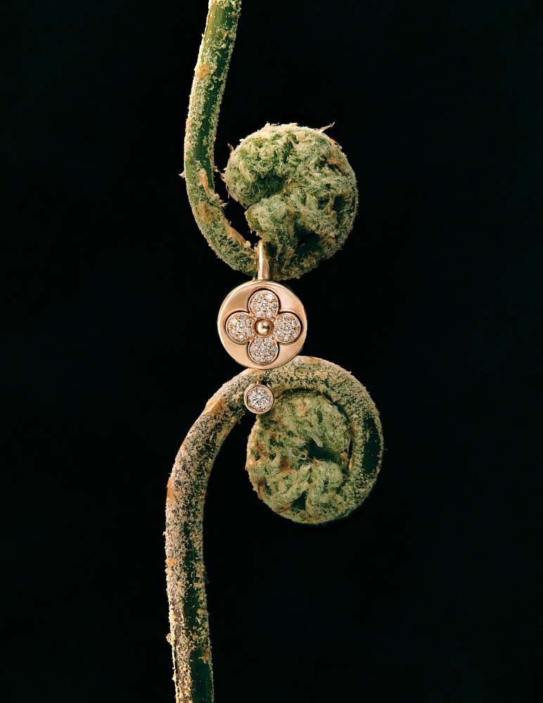 Still life photograph by Samuel Bristow